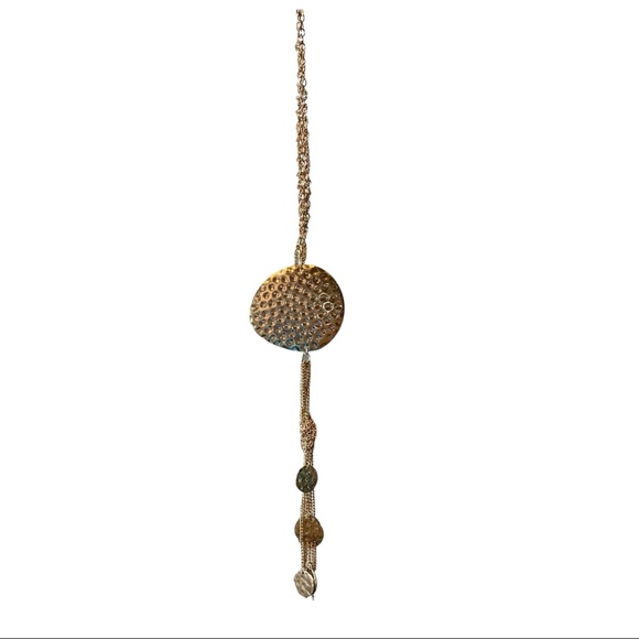 🎁 Long Hammered Metal Disc Necklace - Picture 8 of 9